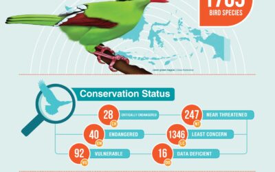 Infografis Status Burung di Indonesia 2017