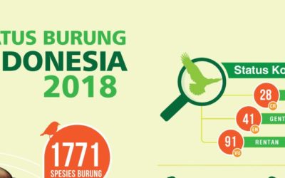 Infografis Status Burung di Indonesia 2018