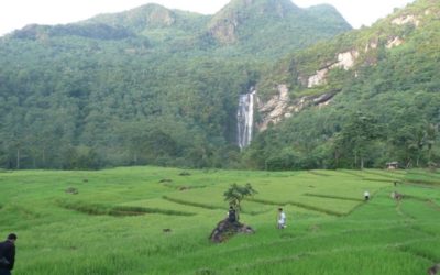 Memanfaatkan Air untuk Mengubah Cara Menghargai Hutan