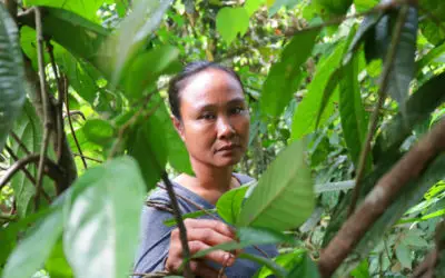 Berharap Hidup di Hutan Harapan