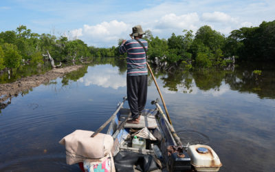 Mangrove: Berbagi Manfaat bagi Manusia dan Hewan