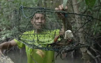 Desa “Bengal” yang Menyelamatkan Mangrove