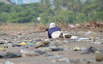 Habitat Lahan Basah dalam Belenggu Sampah