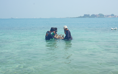 Eco Trip: Petulangan Konservasi di Pulau Pramuka