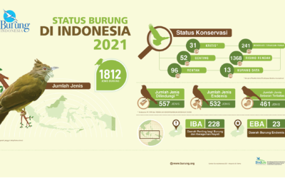 Status Burung di Indonesia 2021: Sembilan Jenis Burung Semakin Berisiko Mengalami Kepunahan