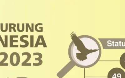Status Burung di Indonesia 2023