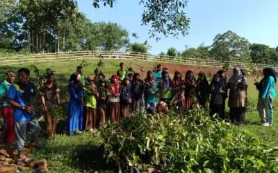 Asyiknya Menanam Pohon di Kebun Sekolah Desa Golo Ndoal