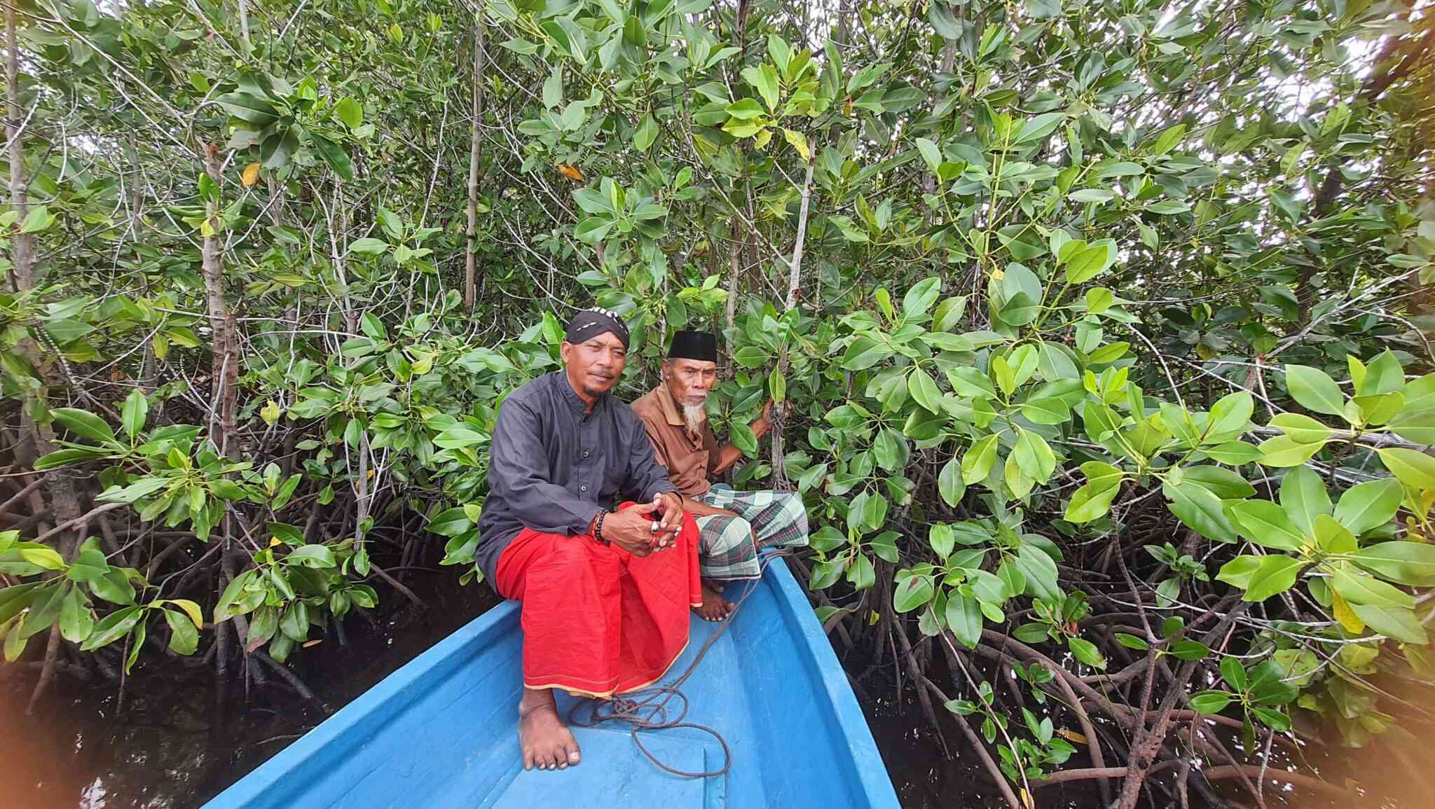 Mangrove Forest in Torosiaje Village: From Spiritual Connection to Conservation Efforts