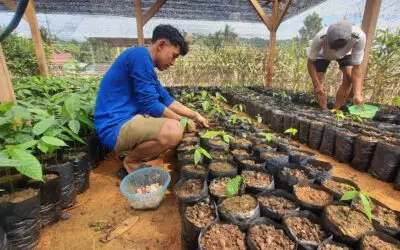 Petani Gen Z di Pohuwato: Kakao untuk Kesejahteraan Manusia dan Alam