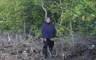 Para Puan Tangguh Garda Terdepan Pelestarian Mangrove di Pesisir Pohuwato