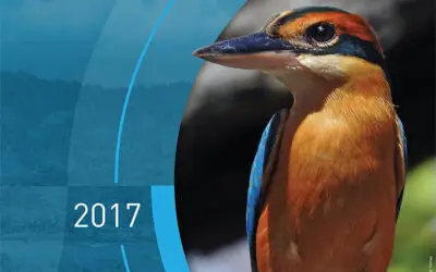 Annual Report 2017