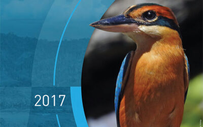 Annual Report 2017