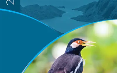 Annual Report 2019