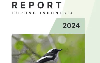 Annual Report 2024