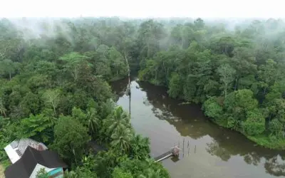 Sungai yang Mengalir di Hutan Harapan, Sumber Kehidupan bagi Warga Jambi dan Sumatera Selatan