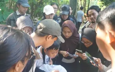 Weekend Birding: Menyingkap Kekayaan Alam di Hutan Kota Srengseng