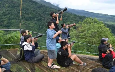 Mengamati Burung Pemangsa di Langit Puncak Bogor