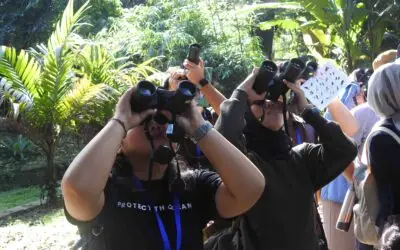 Weekend Birding: Menutup Tahun 2025 Bersama di Kebun Raya Bogor