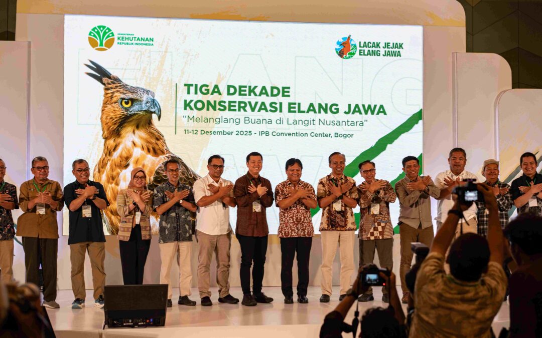 Perayaan Tiga Dekade Konservasi Elang Jawa sebagai Momentum Kolaborasi