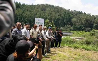 Raja Dirgantara Kembali ke Langit Jawa: Pelepasliaran Elang Jawa di Taman Nasional Gunung Gede Pangrango