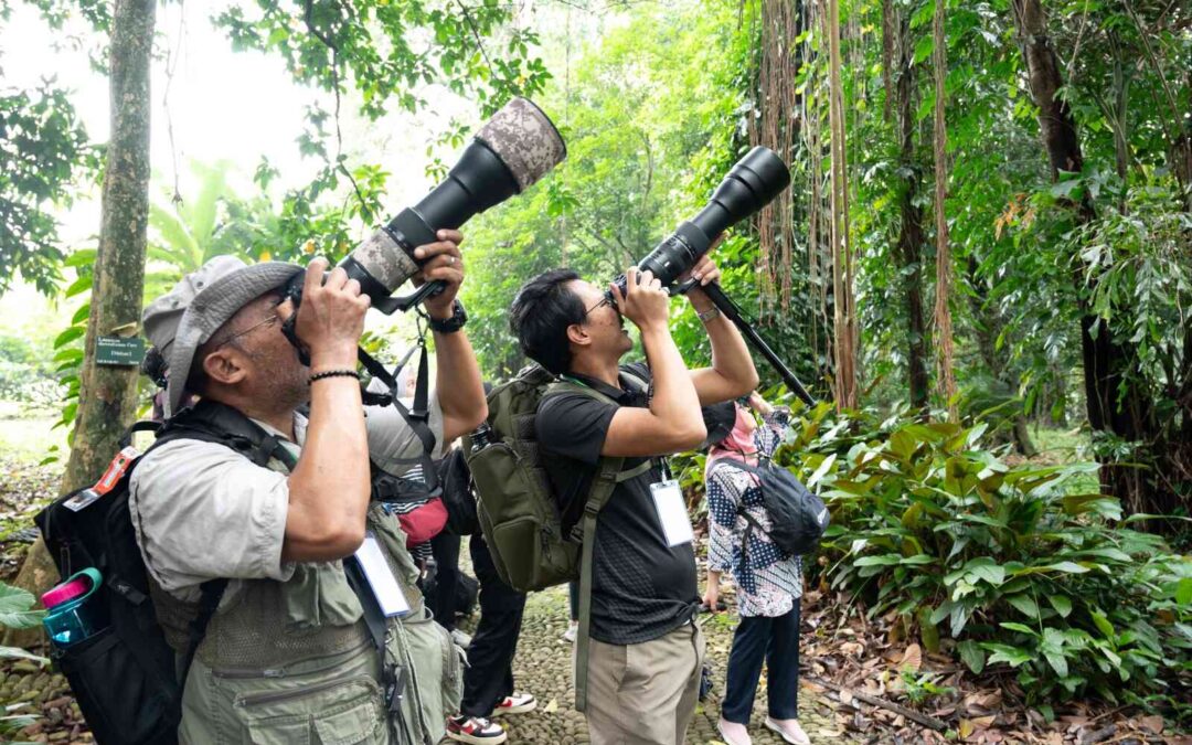 Usai Lebaran, Mengintip Keragaman Burung di Kebun Raya Bogor