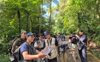 Berkelana Mencari Burung-burung di Kebun Raya Cibodas