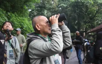 Weekend Birding Perdana di Bandung Bertemu dengan Burung Endemis Jawa